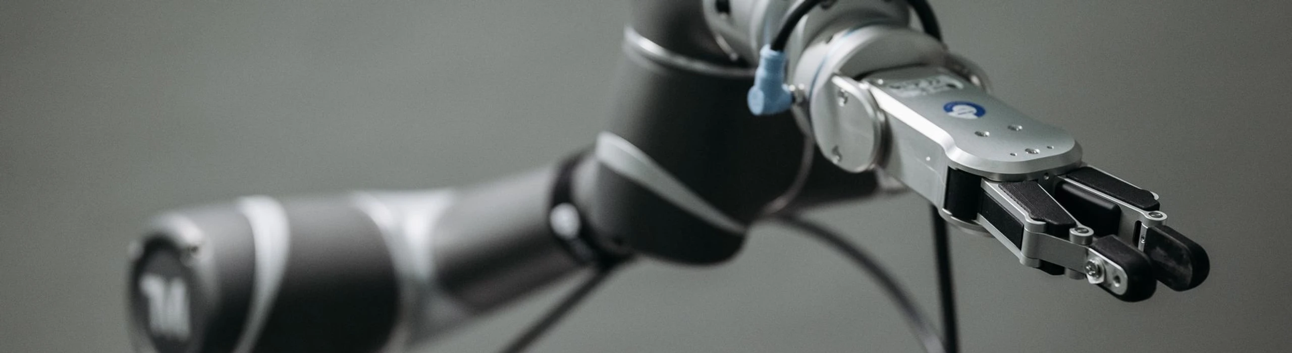 Robot wrist and two-finger gripper extending from an articulated robot arm